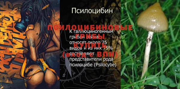 синтетический гашиш Заволжск