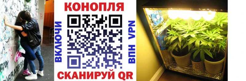 Марихуана Ganja  Шарья 